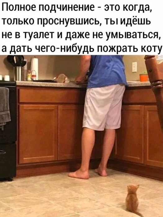 3416556_i_11_ (525x700, 209Kb)