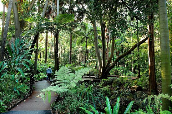 the-boardwalk-at-fern (550x366, 394Kb)