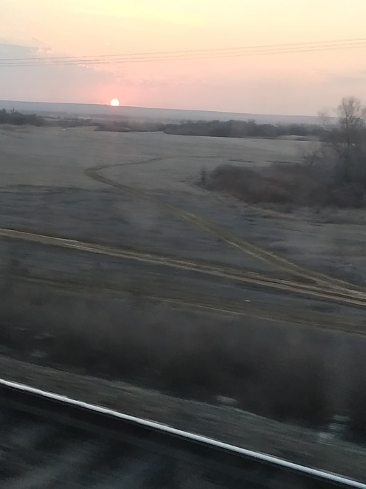 IMG_20200308_185025 (525x700, 64Kb)