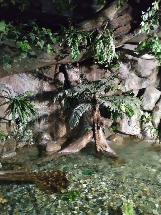 IMG_20200307_114317 (525x700, 184Kb)