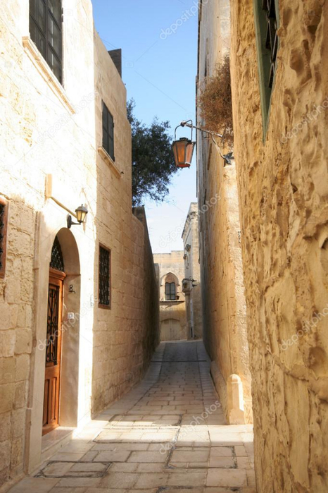 depositphotos_32475095-stock-photo-narrow-streets-of-mdina-malta (466x700, 336Kb)