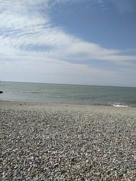 IMG_20200307_124450 (525x700, 222Kb)