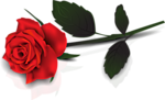 fb7286ddc24a575ad4459e2232193b75 (150x91, 18Kb)