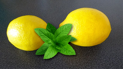 лимонная-начинка (480x270, 116Kb)
