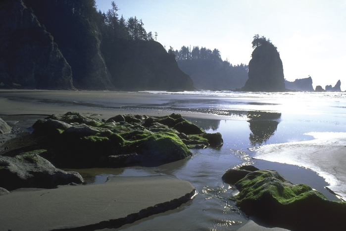 Olympic_National_Park_coast (700x467, 257Kb)