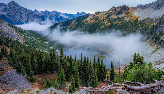 Olympic-National-park-1 (700x402, 414Kb)