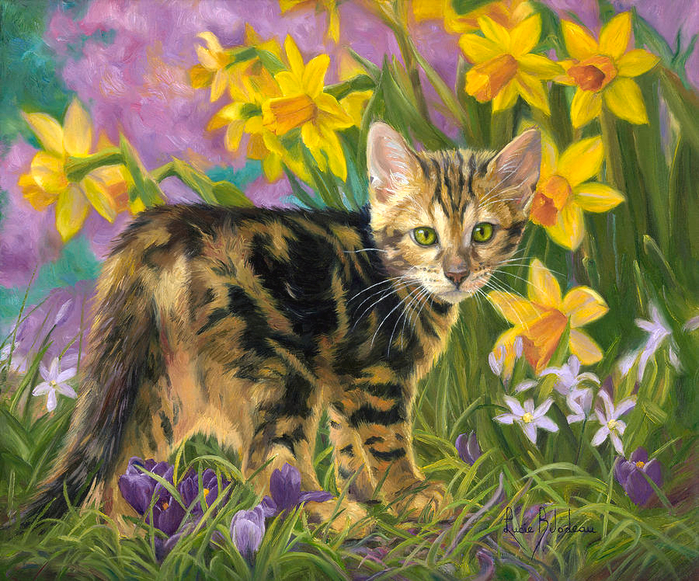Spring_Kitten_yapfiles.ru (700x581, 653Kb)