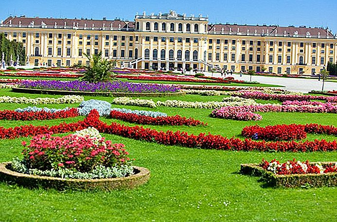 visiting-viennas-schnbrunn-palace-highlights-tips-tours (693x457, 580Kb)