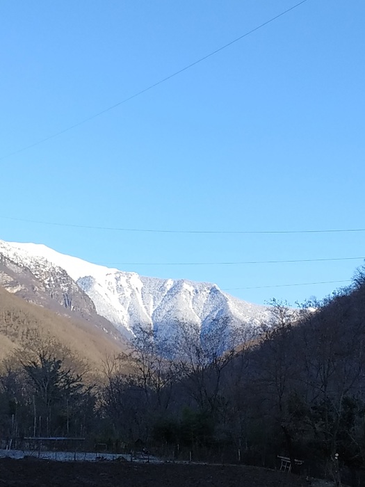 IMG_20200226_093111 (525x700, 79Kb)