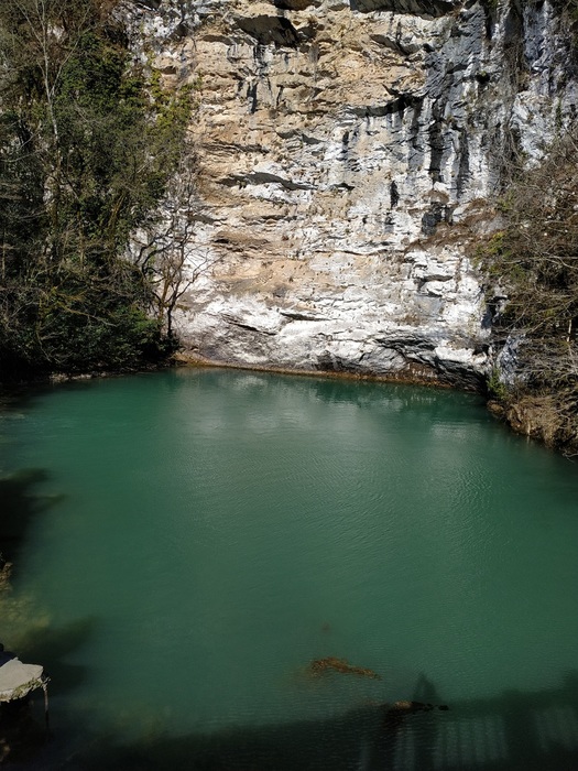IMG_20200226_112022 (525x700, 163Kb)