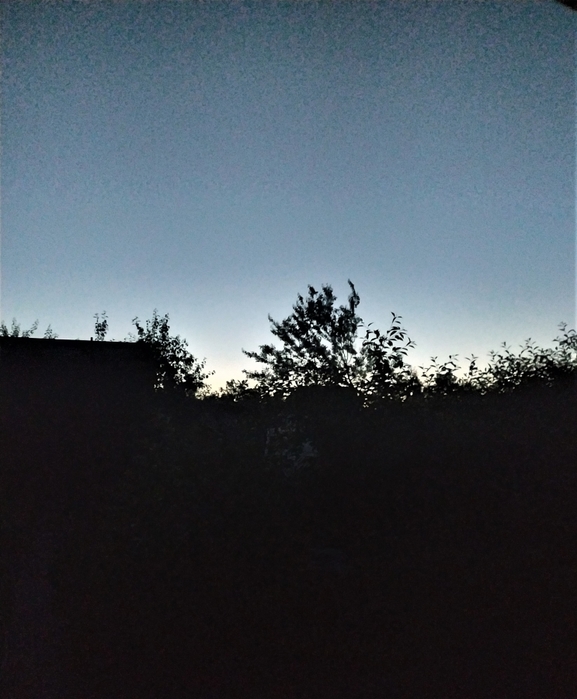 4334329_p4819 (577x700, 238Kb)