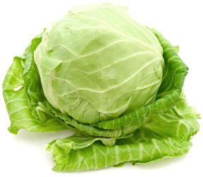 cabbage (288x250, 14Kb)