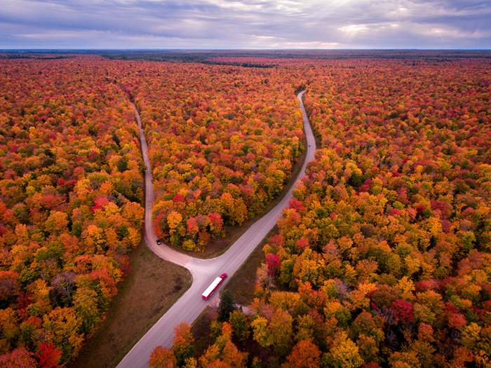 USA_Scenery_Autumn_Forests_Roads_Michigan_536529_1365x1024 (700x525, 705Kb)