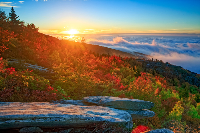 Scenery_USA_Coast_Sunrises_and_sunsets_Autumn_513202_1280x853 (700x466, 459Kb)