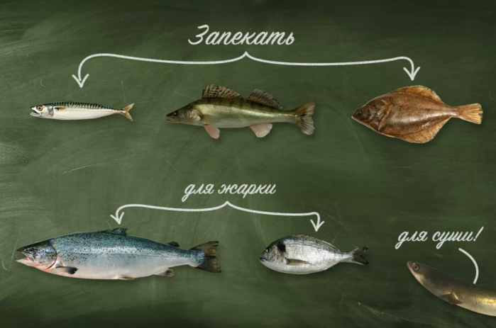 Морская или речная рыба: какую лучше запекать, жарить и варить