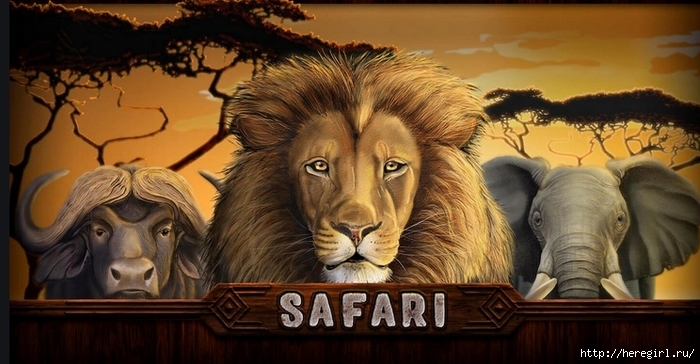 игровой автомат Safari