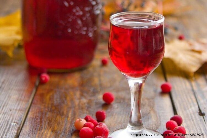 cranberry-wine-3 (700x466, 210Kb)