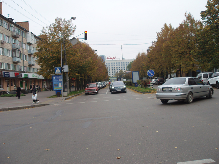 P1010055 (700x525, 452Kb)