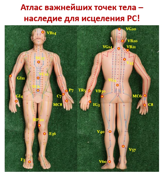 Атлас важнейших точек тела наследия исцеления  С (563x627, 347Kb)