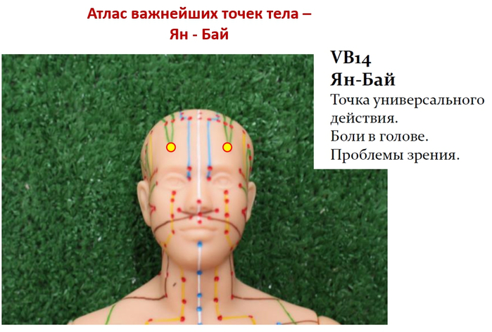 Атлас важнейших точек тела человека - наследие для исцеления  С - голова и шея!2 (700x472, 273Kb)