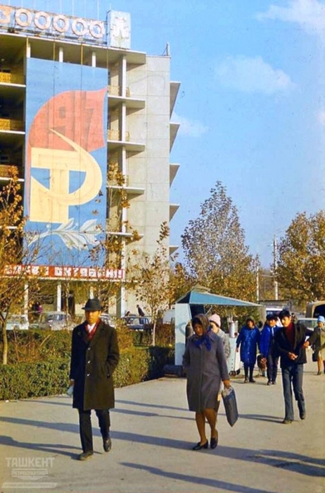 4474615_Sredazgiprovodhlopok_sov (462x700, 238Kb)