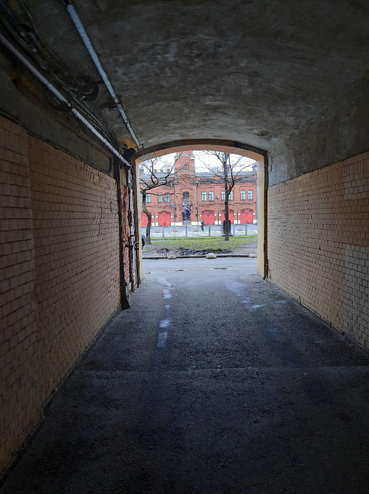 20201128_133007 (522x700, 391Kb)