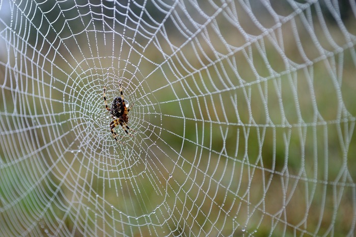 2 (700x465, 117Kb)