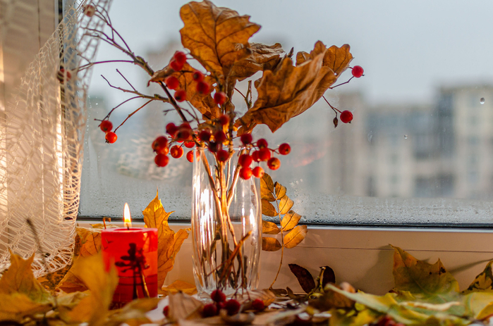 DSC_8401  (700x463, 413Kb)