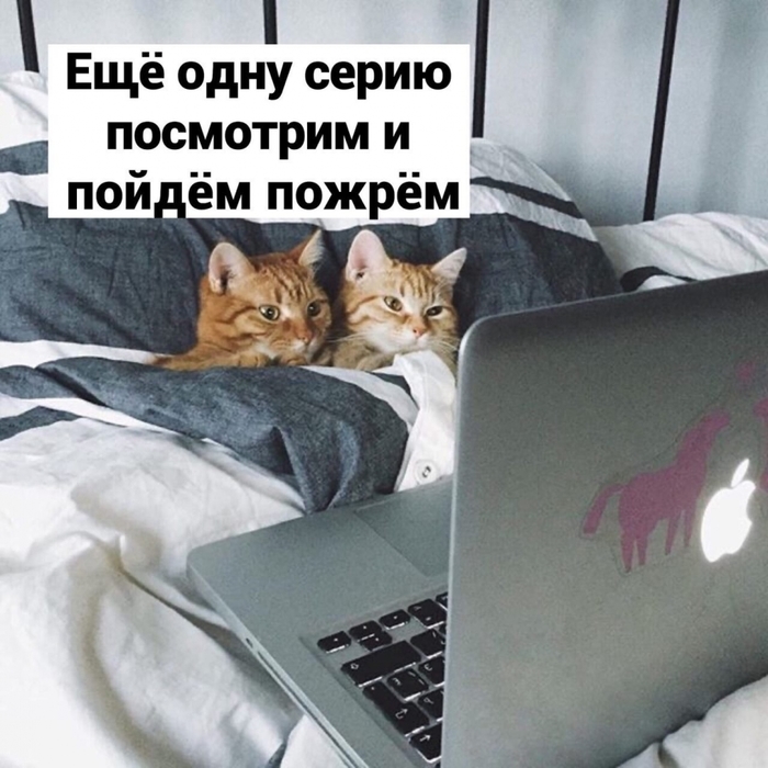 3416556_i_1_1_ (700x700, 270Kb)