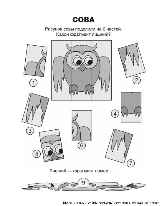 74881_fd338143742555b6a2c863886d8407fa_10 (550x700, 132Kb)