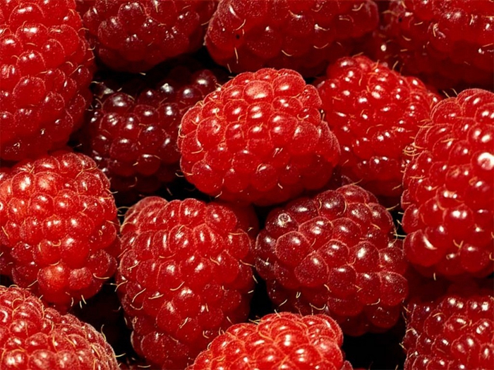 makro-yagody-malina (700x525, 464Kb)