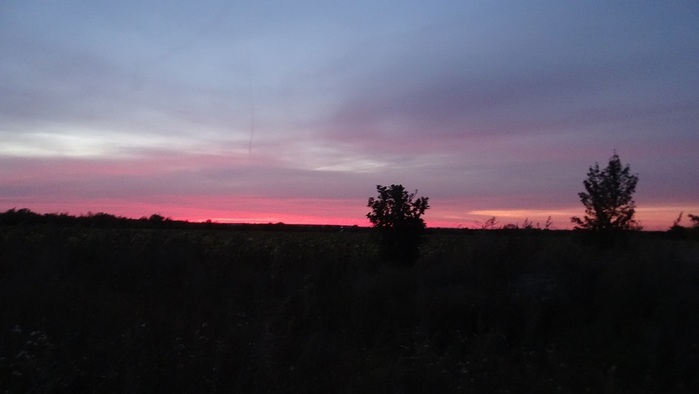 DSC06395 (700x394, 42Kb)