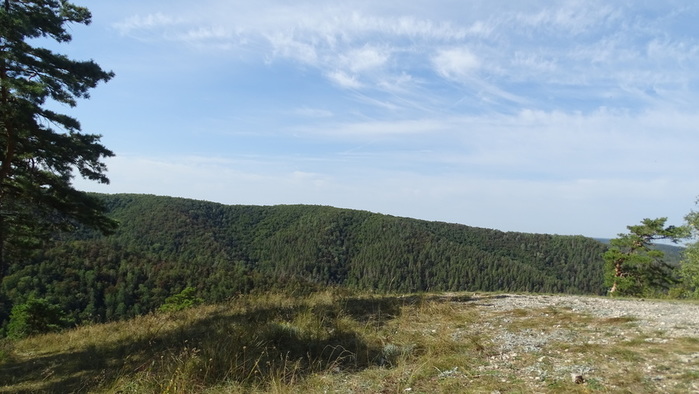 DSC06565 (700x394, 104Kb)