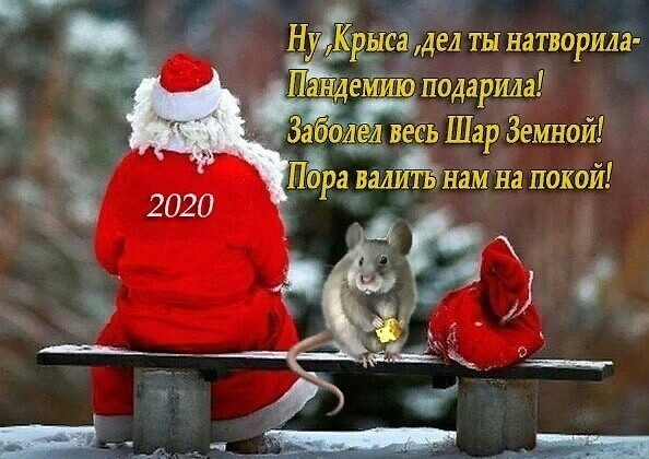 3416556_h19569 (594x420, 88Kb)