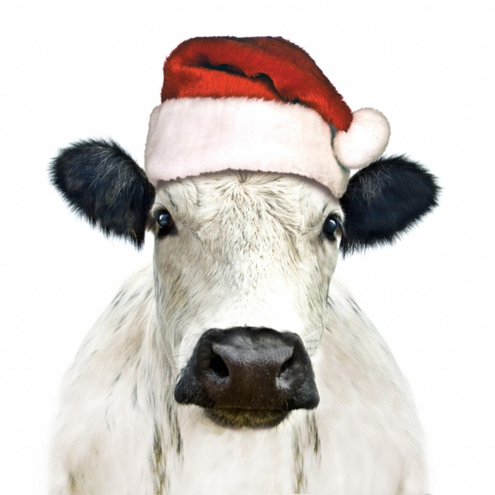 amx5-christmas-cow1-4191-1024x1024 (700x700, 258Kb)