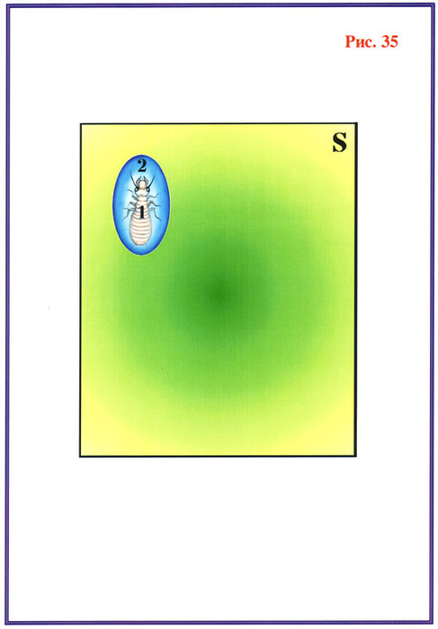 Fig-35 (487x700, 45Kb)
