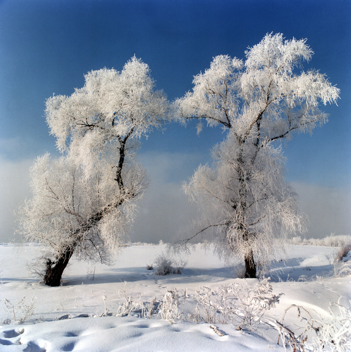 1 (696x700, 696Kb)