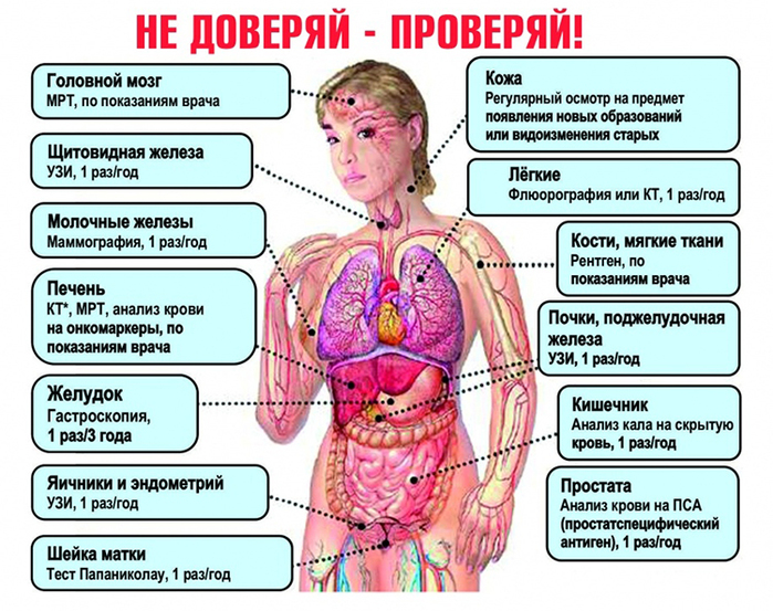 2835299_diagnostika (700x553, 368Kb)