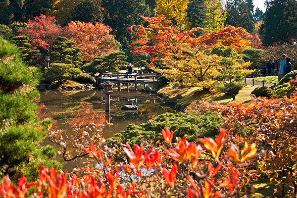 японский сад в Сиэтле 16 (600x400, 599Kb)