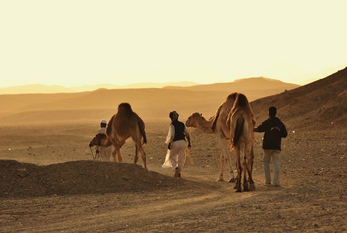 2714816_marsa_alam_43 (700x469, 53Kb)