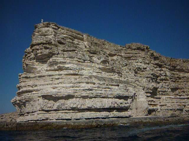 P1080520 (640x480, 196Kb)