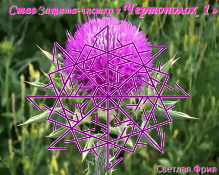5850402_20190202_031205768x613 (700x558, 702Kb)