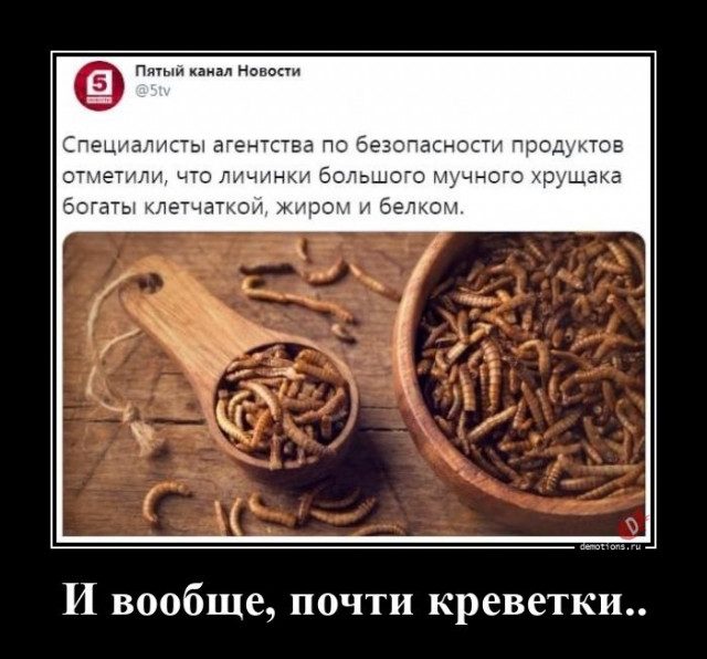 fullsize (6) (640x596, 67Kb)