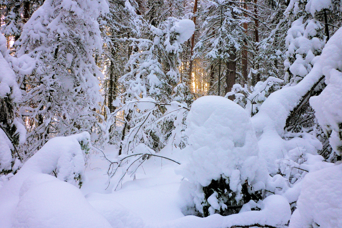 P1050671к (700x466, 577Kb)