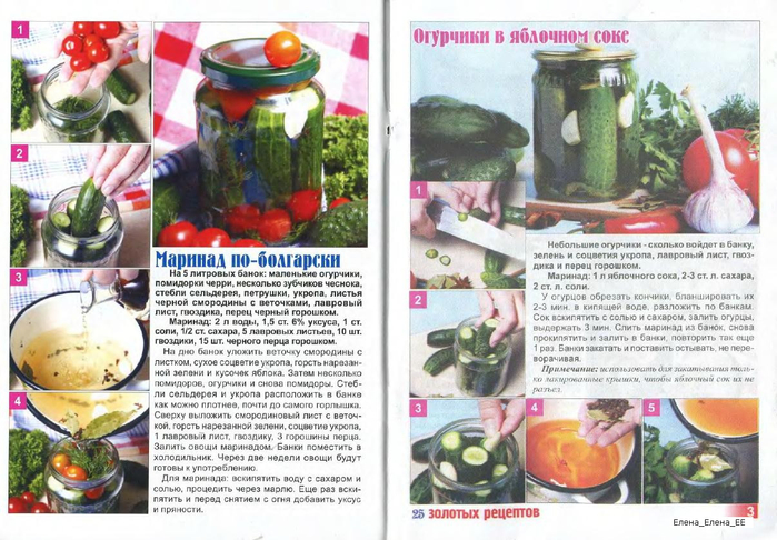 Image00071 (700x486, 386Kb)