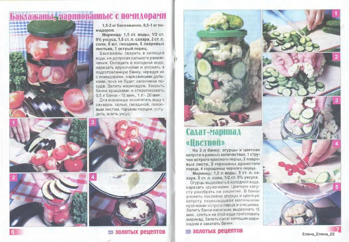 Image00073 (700x485, 377Kb)