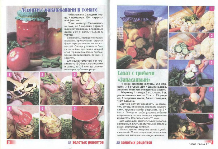 Image00093 (700x481, 377Kb)