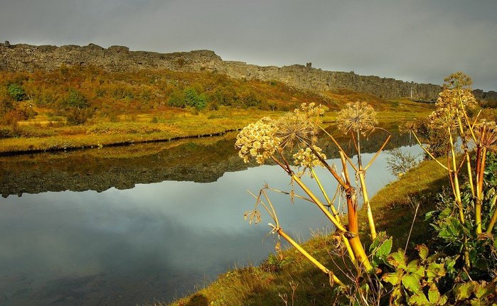 2714816_tingvedlir_125 (700x431, 85Kb)