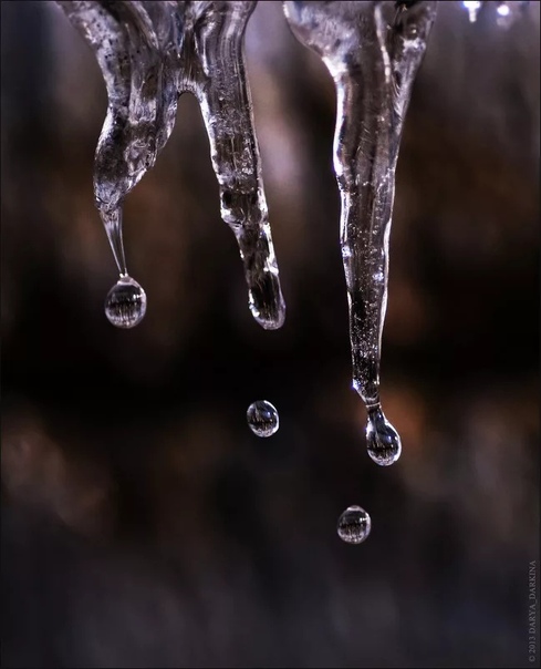 n9qykssjuzs (489x604, 73Kb)