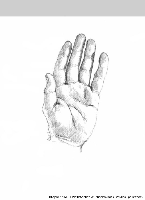 7_urokov_prostykh_urokov_risovania_Sekrety_mastera_21 (508x700, 76Kb)
